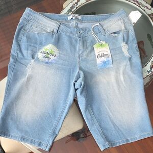 Light Blue Women's Bermuda Shorts